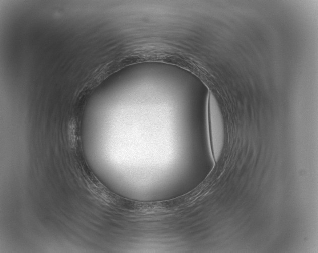 X0000076231108200609280940