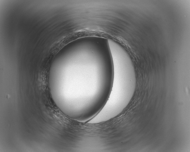 X0000076231110200609280940