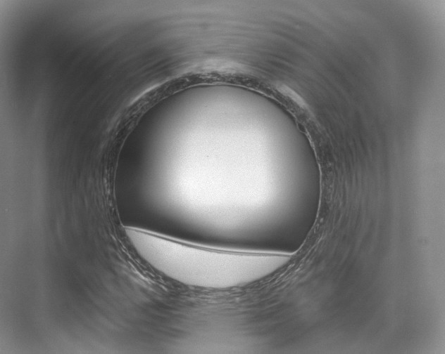X0000076231112200609280940