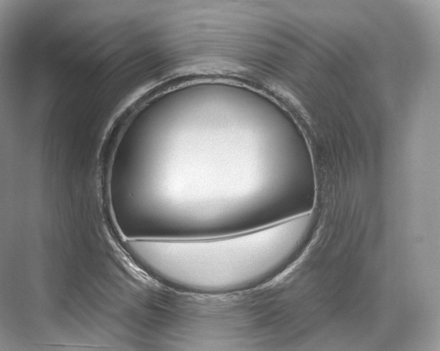 X0000076231114200609280940