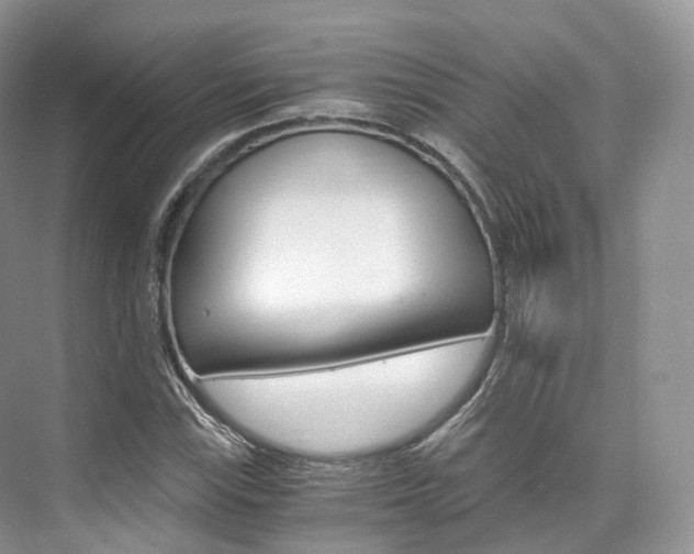 X0000076231115200609280940