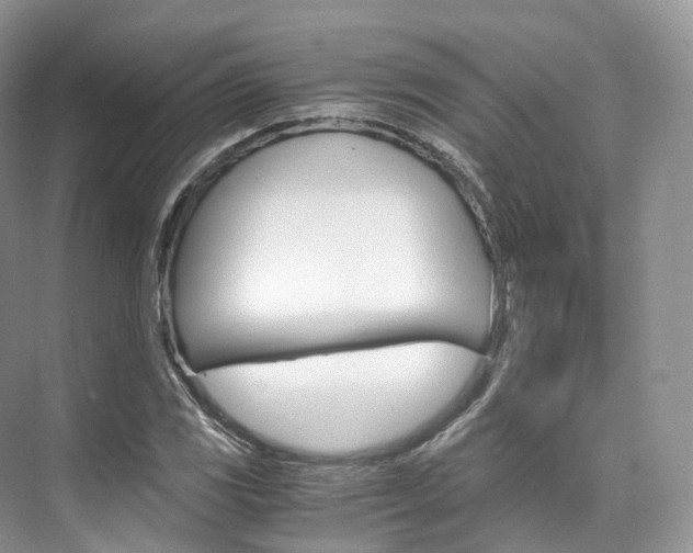 X0000076231117200609280940