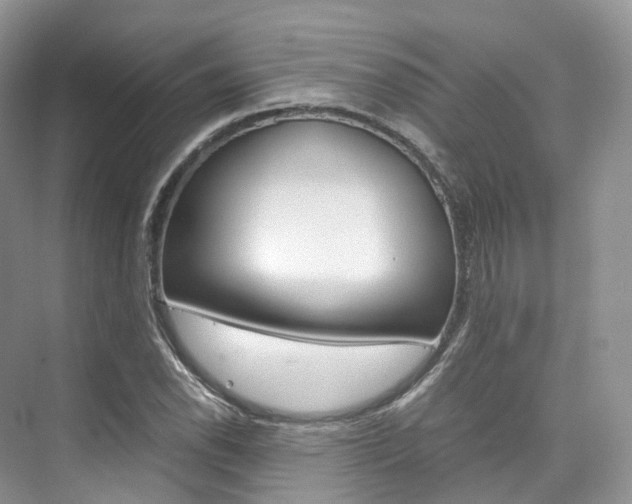 X0000076231118200609280940