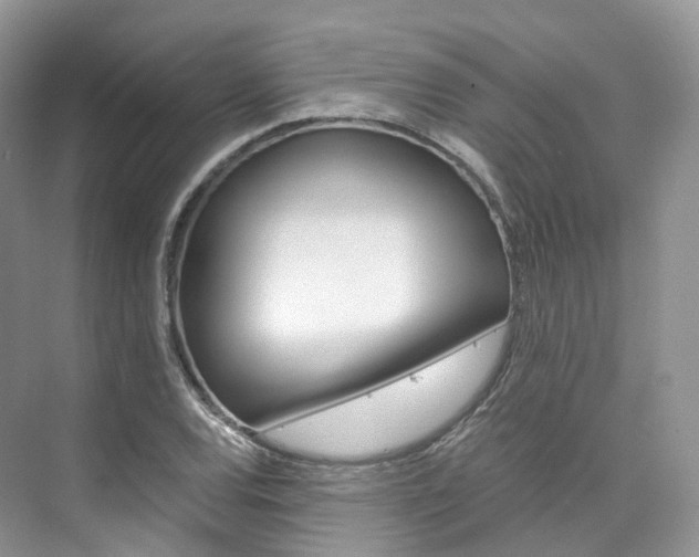 X0000076231120200609280940