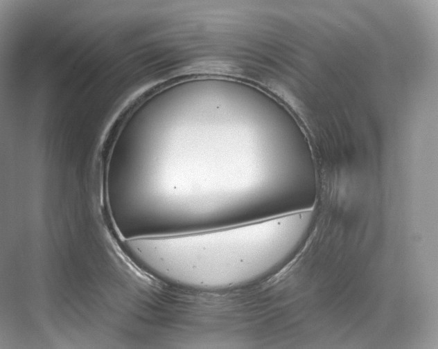 X0000076231123200609280940