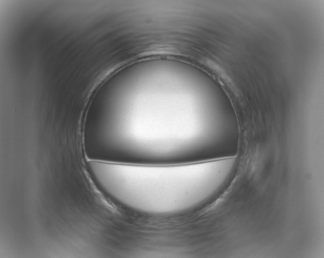 X0000076231129200609280940