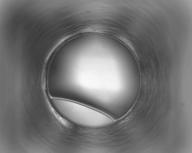 X0000076231131200609280940