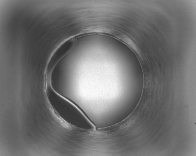 X0000076231132200609280940