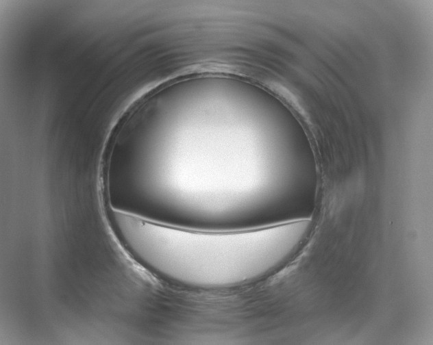 X0000076231133200609280940