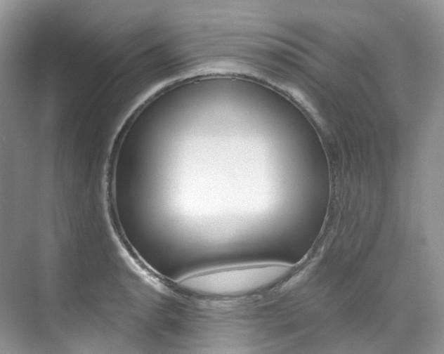 X0000076231134200609280940