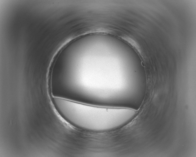 X0000076231135200609280940