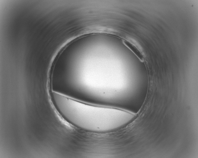 X0000076231136200609280940
