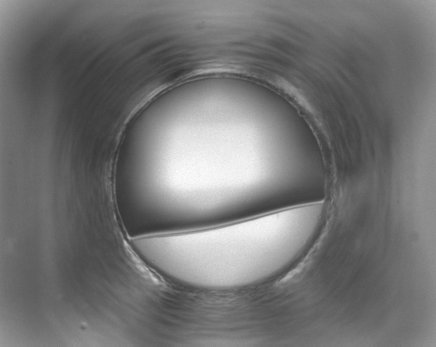 X0000076231137200609280940
