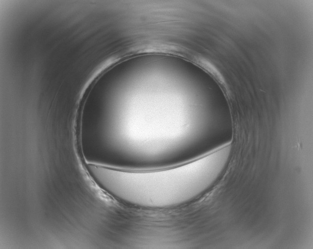 X0000076231138200609280940