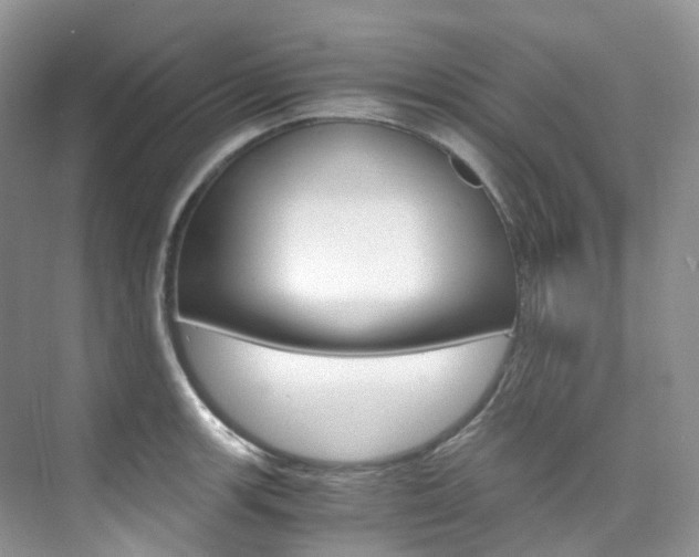 X0000076231139200609280940