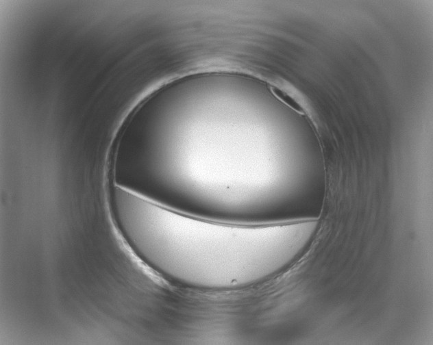 X0000076231142200609280940
