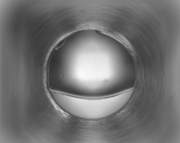 X0000076231144200609280940