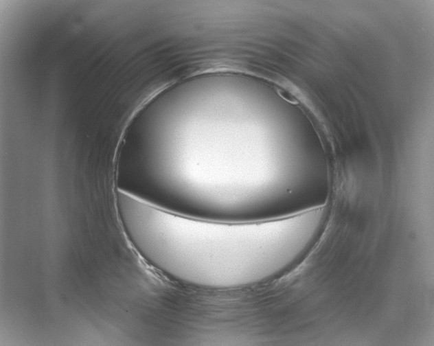 X0000076231145200609280941