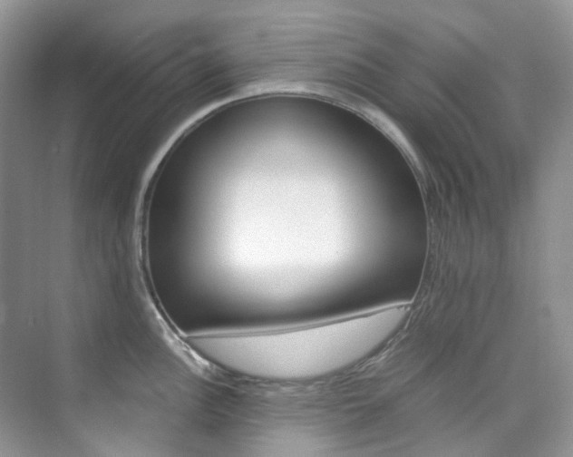 X0000076231148200609280941