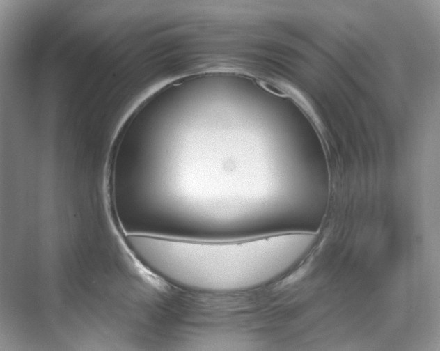 X0000076231149200609280941
