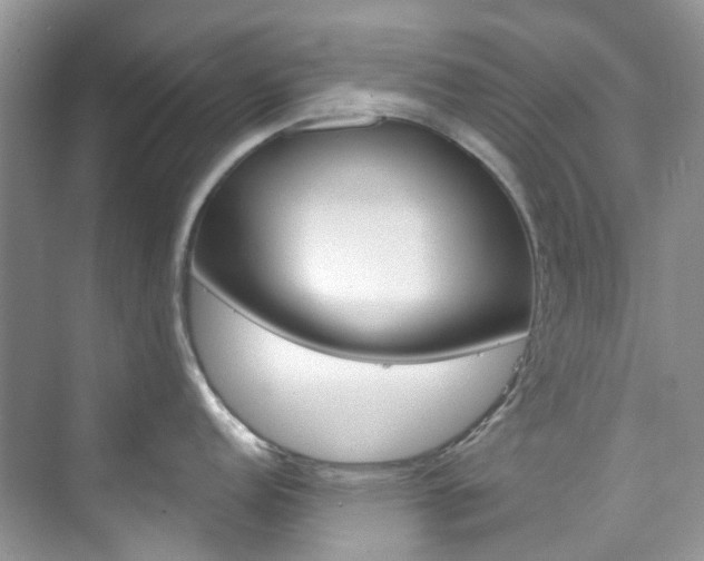 X0000076231152200609280941
