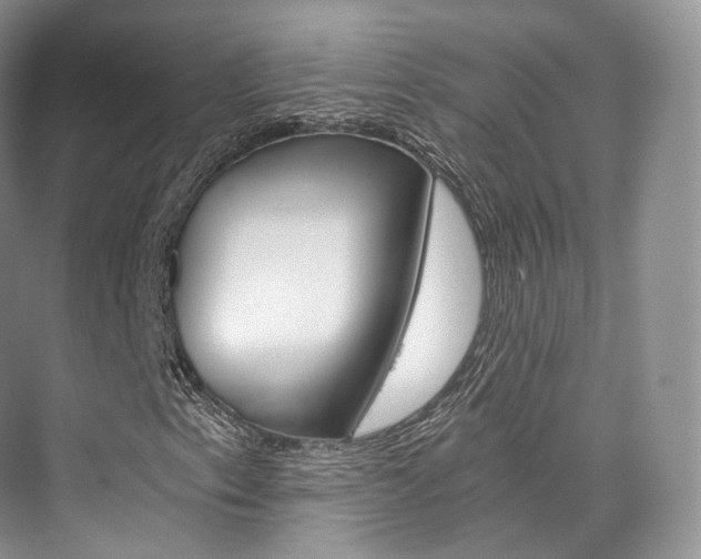 X0000076231153200609280940