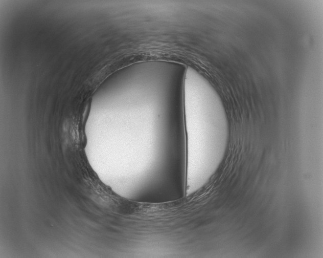X0000076231155200609280940