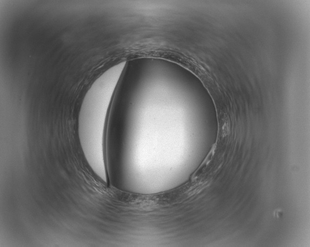 X0000076231156200609280940