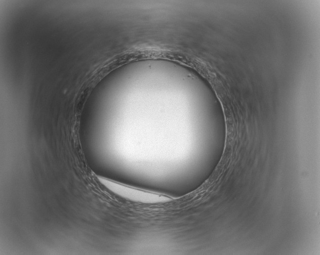 X0000076231157200609280940