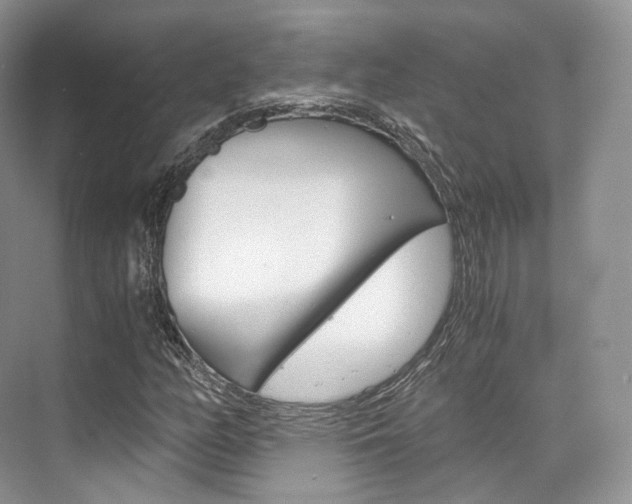 X0000076231158200609280940
