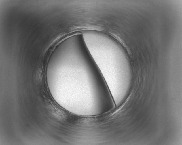 X0000076231163200609280940