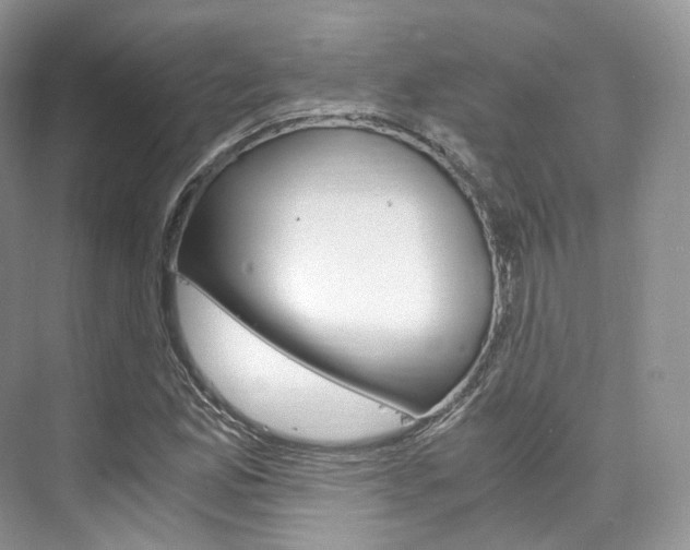 X0000076231165200609280940