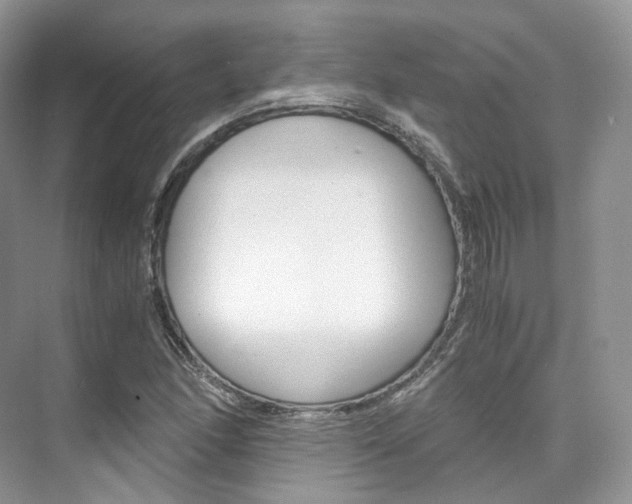 X0000076231166200609280940