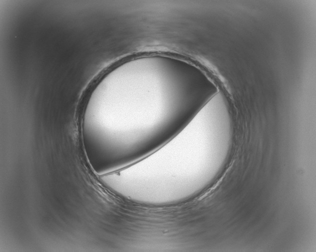 X0000076231167200609280940