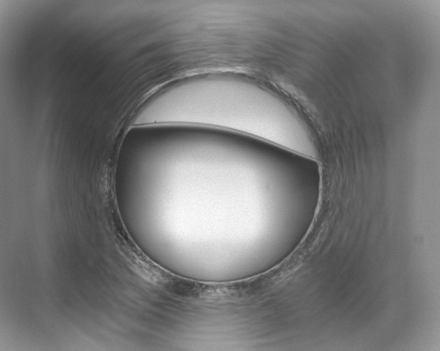 X0000076231169200609280940