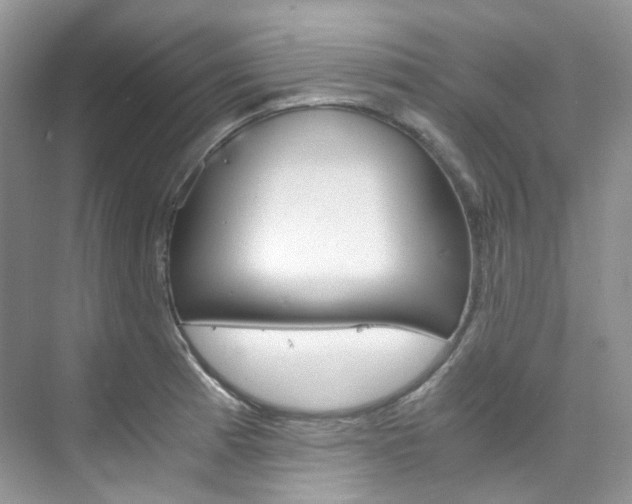 X0000076231185200609280939