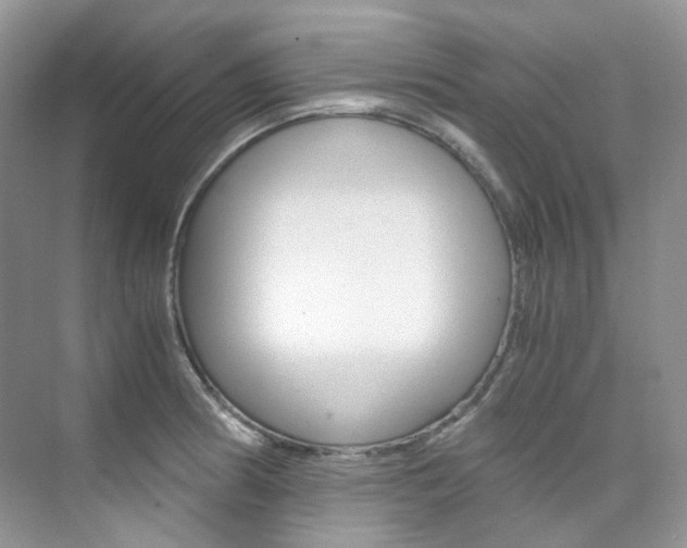 X0000076231186200609280939