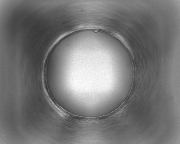 X0000076231187200609280939