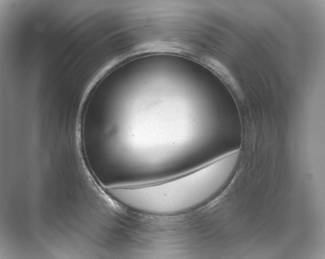 X0000076231188200609280939