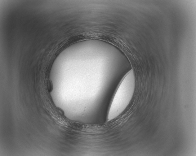 X0000076231201200609280938