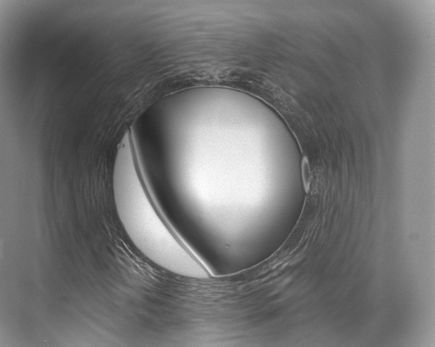 X0000076231202200609280938