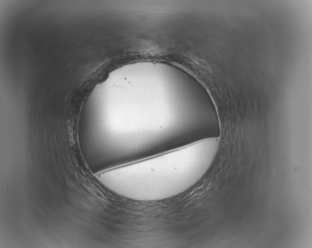 X0000076231205200609280938