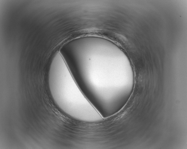 X0000076231209200609280938