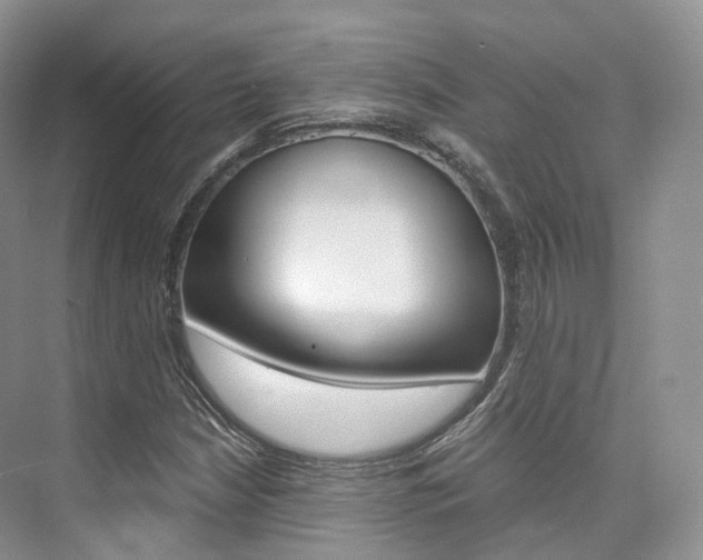 X0000076231210200609280938