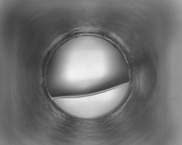 X0000076231213200609280938