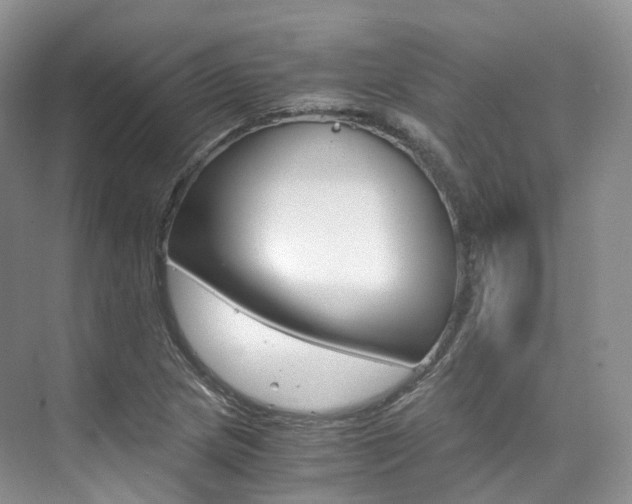 X0000076231217200609280938