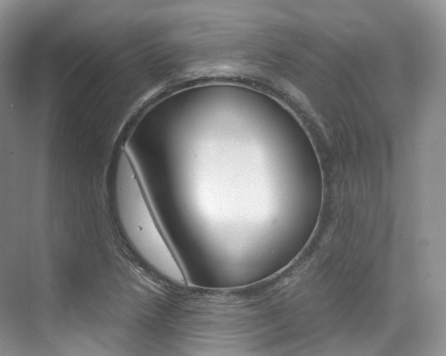 X0000076231218200609280939