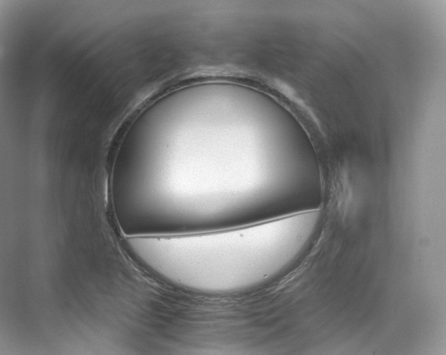 X0000076231221200609280939