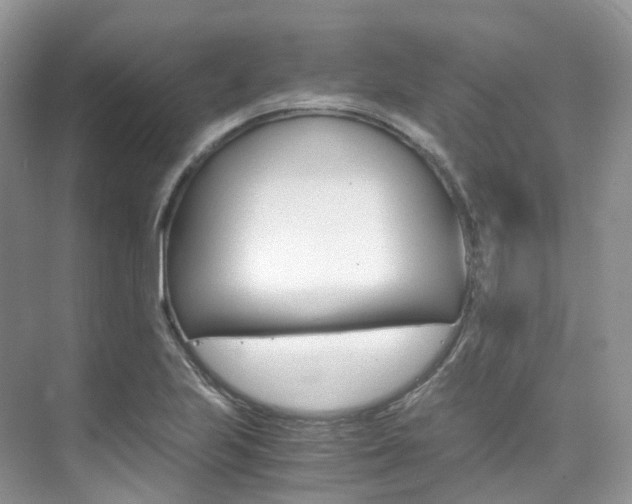 X0000076231223200609280939