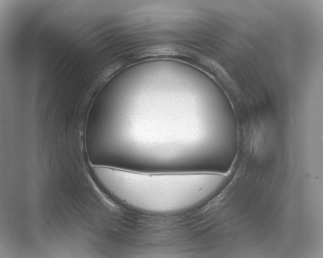 X0000076231225200609280939